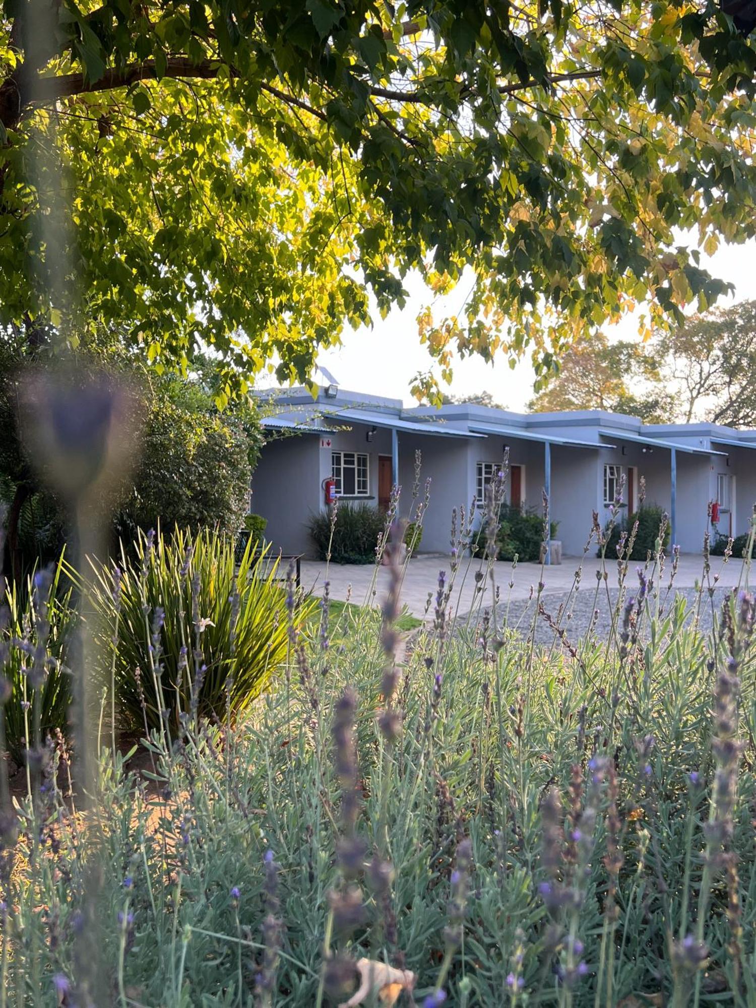 Patterson B&B Ньюкасл Экстерьер фото